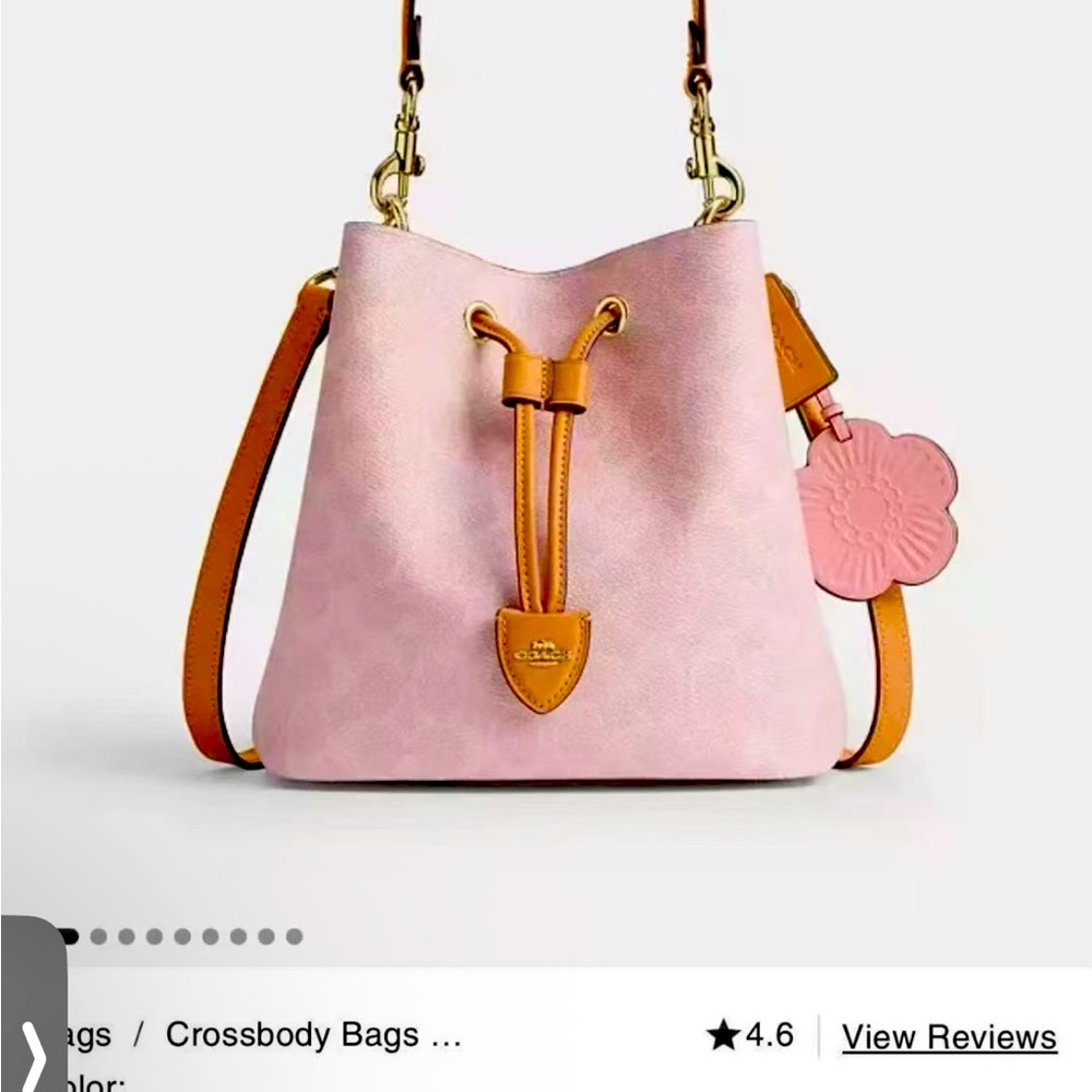 Coach bucket bag